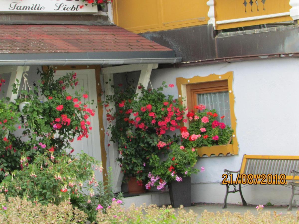 Pension Liebl Sankt Oswald-Riedlhuette Extérieur photo